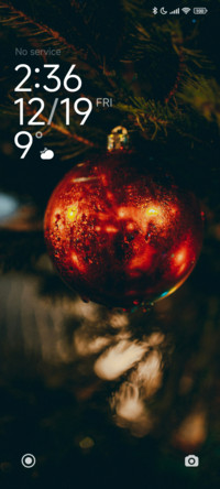 Crimson Ornament