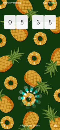 Pineapple_3MDS