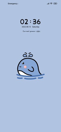 small sea pig