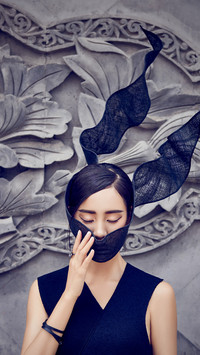 王智