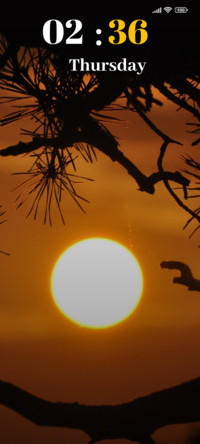 Branch Silhouette