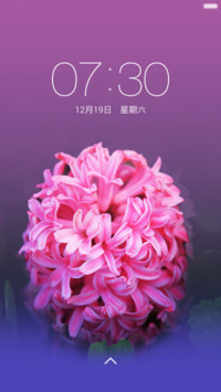 风信子【生命之火】