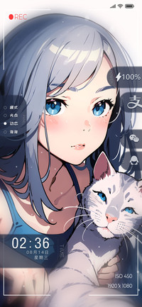 绘画和小猫一的录像