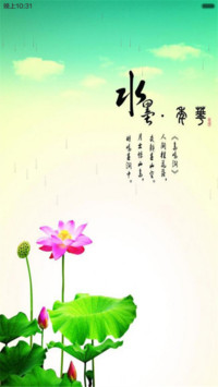 水墨荷花（水滴动态效果+桌面动态特效）