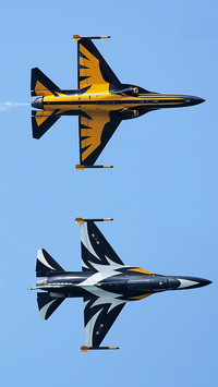 特技飞行表演