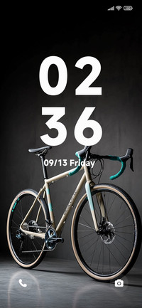Mountain Bike