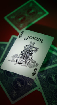 Joker (14)