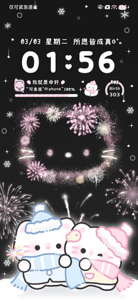小猫 向烟花许愿