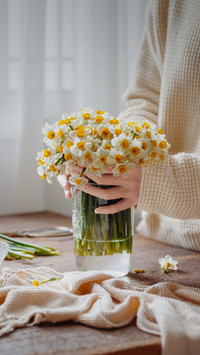 Another Narcissus season 84