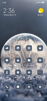 Frost