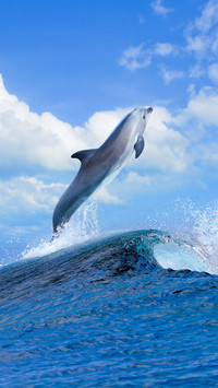 Sea creature-02