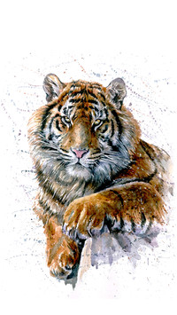 Wild Oil Painting