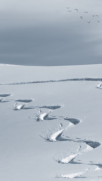 winter (2)