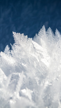 winter (4)