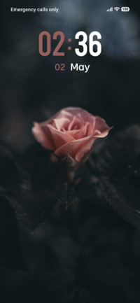 Flower Blossom