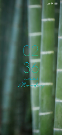 nature bamboo