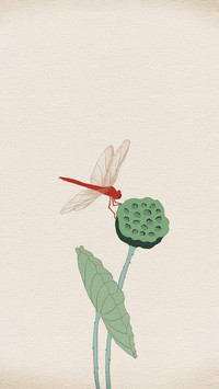 Sleeping lotus for a thousand years