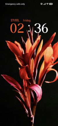 Flower