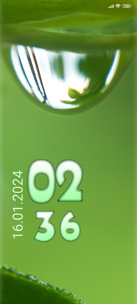Rain leaf
