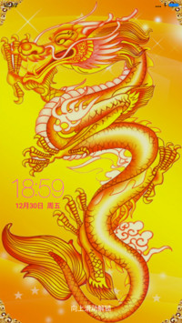 中国龙 土豪金