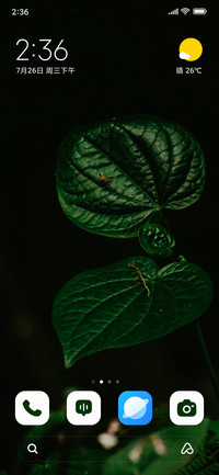 Leaf Glow