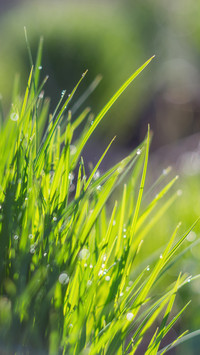 Good rain knows the season