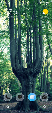 Verdant Glow