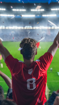 The team scores a goal and the fans scream