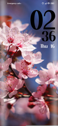 White Spring