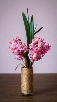 What is a Good Soil for Planting Flowers 36