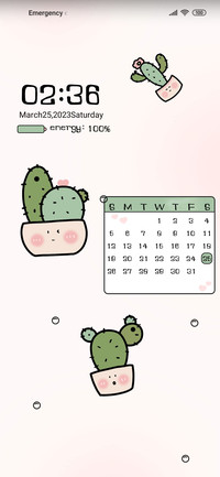 Cute cactus
