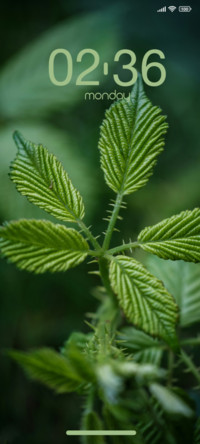 Vein Macro