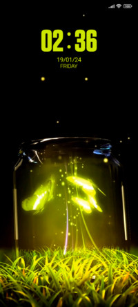 Glowing Butterfly