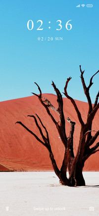 Desert Tree