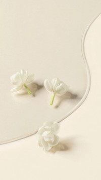 White Petal Aromatherapy essence Liquid