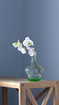 White orchid in vintage glass vase on wooden shelf
