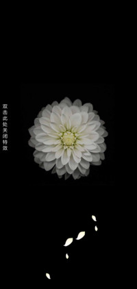 黑与白