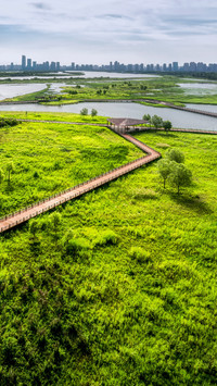 The summer charm of the bund wetland