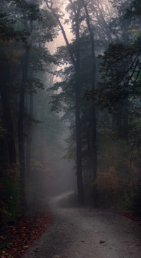 Mystery (7)