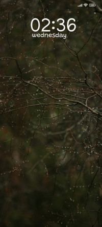 Dew Branch