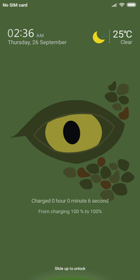 Eye_DWM2