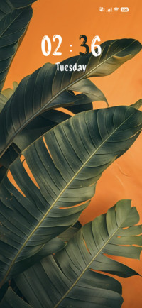 Tropical Palm