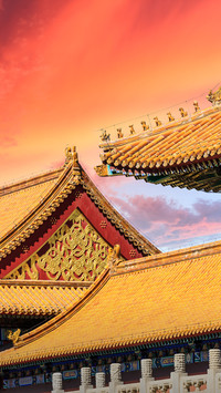 The new exhibition of the Palace Museum is coming 42