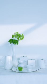 India-tableware