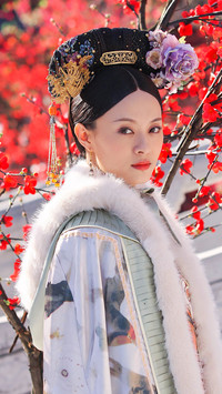 后宫经典《甄嬛传》