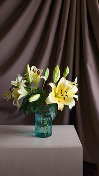 Yellow lily