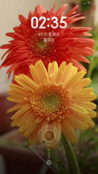 Flower