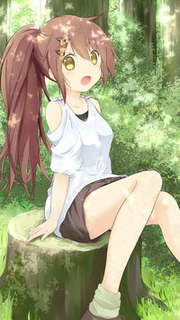 碧绿之梦