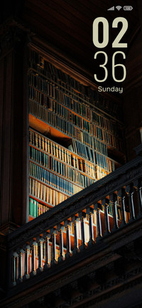 Luxury Library