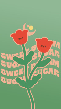 半糖少女Sugar